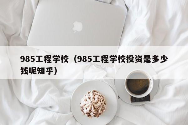 985工程学校（985工程学校投资是多少钱呢知乎）