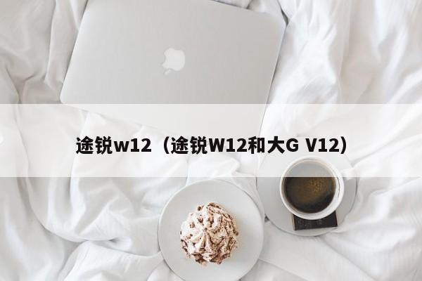 途锐w12（途锐W12和大G V12）