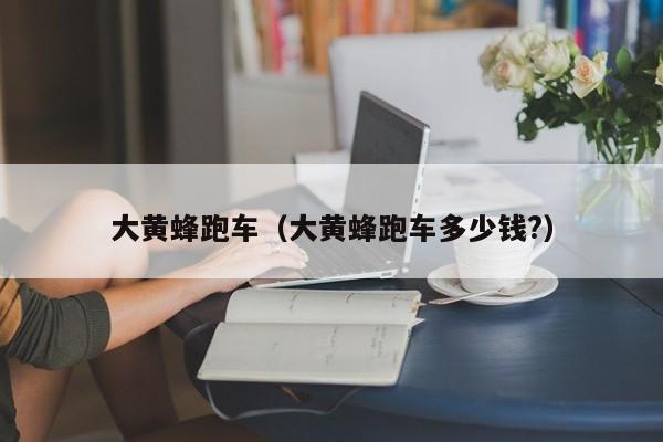 大黄蜂跑车（大黄蜂跑车多少钱?）