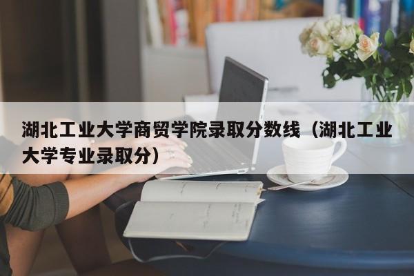 湖北工业大学商贸学院录取分数线（湖北工业大学专业录取分）