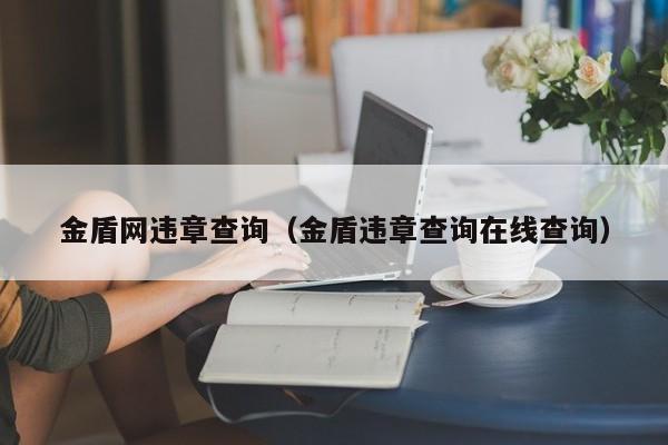 金盾网违章查询（金盾违章查询在线查询）